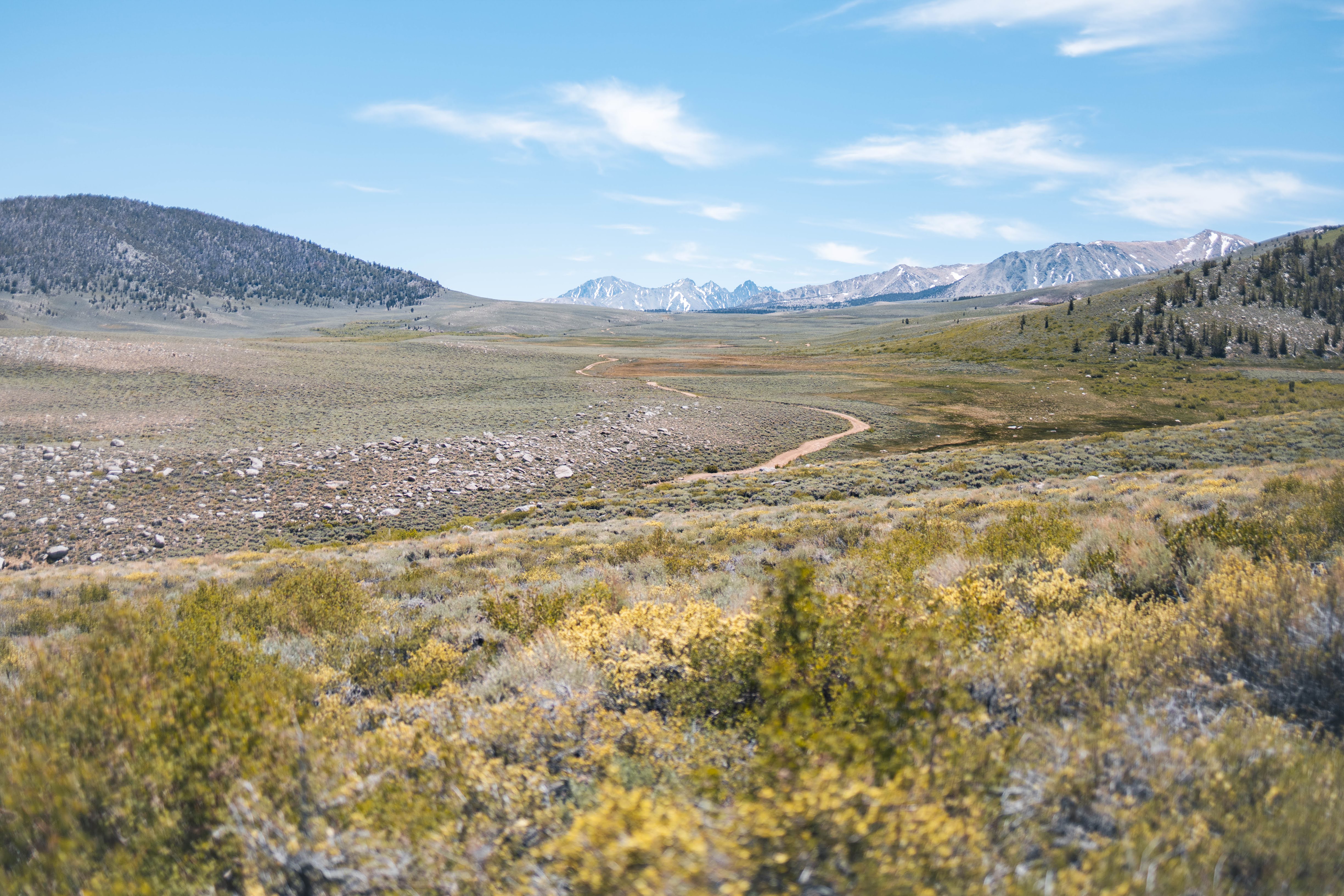 entrance to coyote flat